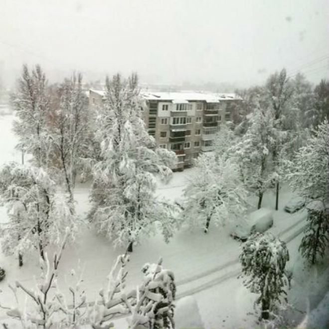 Погода в тернополе. Погода в Тернополе снег.